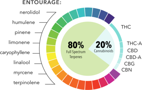  EXPERIENCE CANNABINOIDS NATURALLY THROUGH "THE ENTOURAGE EFFECT"