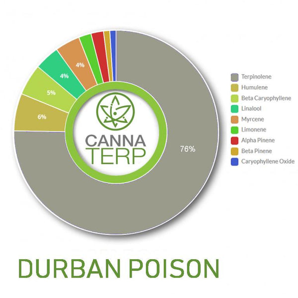Durban Poison Terpene