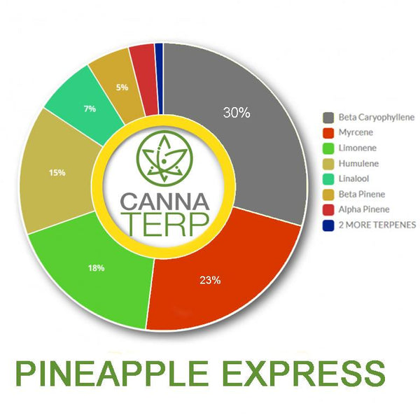 Pineapple Express Terpene Profile