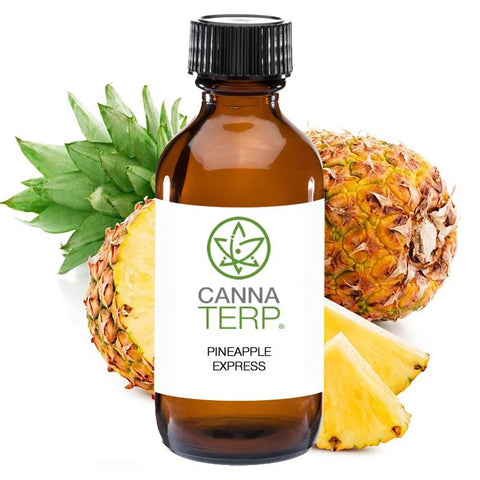Pineapple Express Terpene Profile